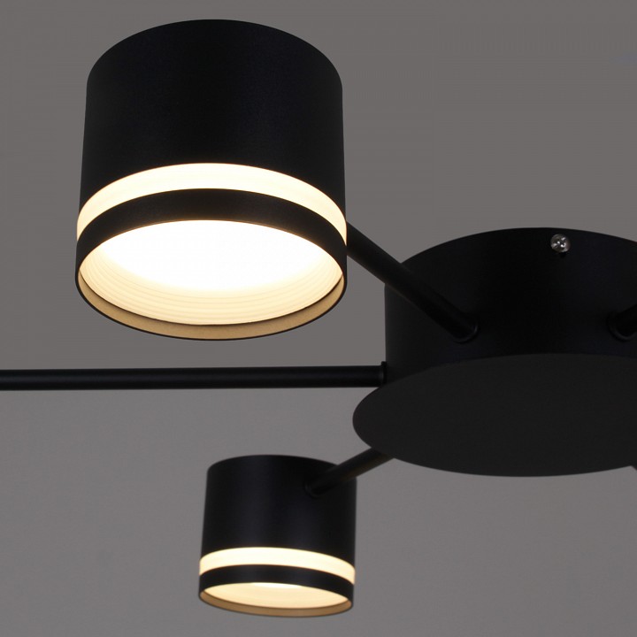 Потолочная люстра 06730-0.3-12 GX53 BK