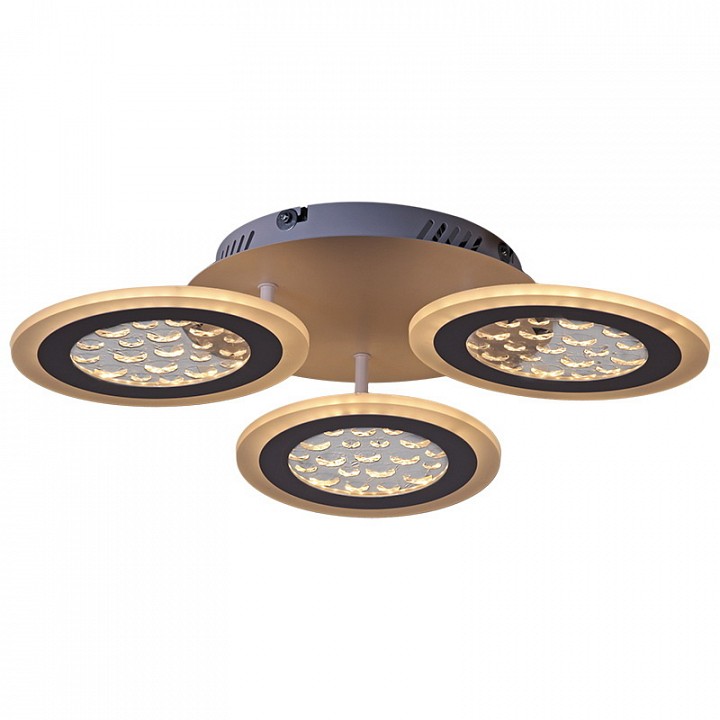 Потолочная люстра 20491-0.3-03 WT