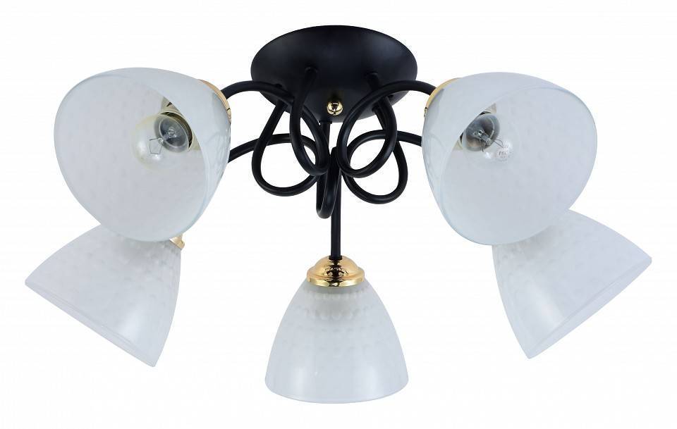 Потолочная люстра Rivoli Luiza 5хE27 60 Вт Б0054904