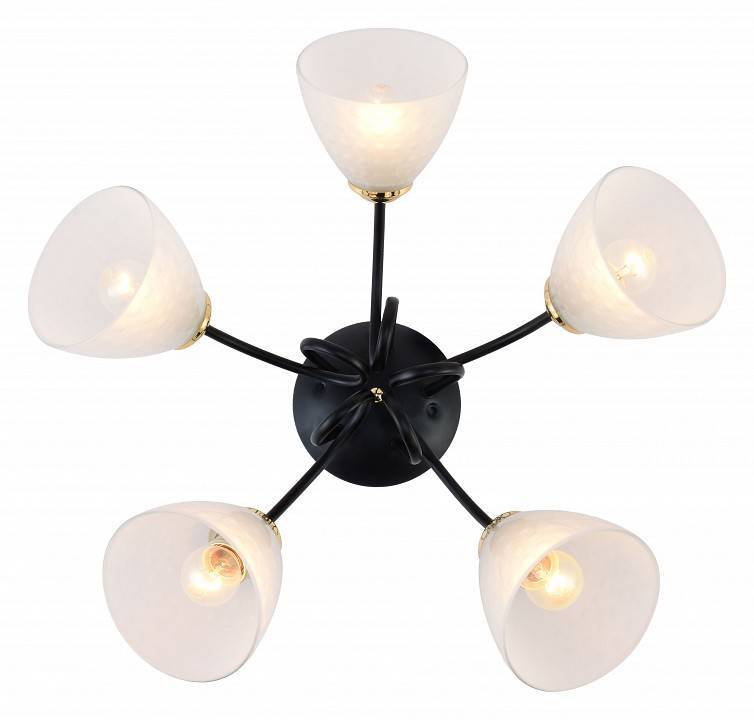 Потолочная люстра Rivoli Luiza 5хE27 60 Вт Б0054904