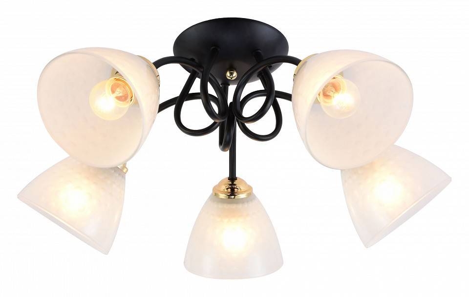 Потолочная люстра Rivoli Luiza 5хE27 60 Вт Б0054904