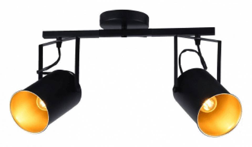 Спот Stilfort Neider 2 лампы 3015/02/02C