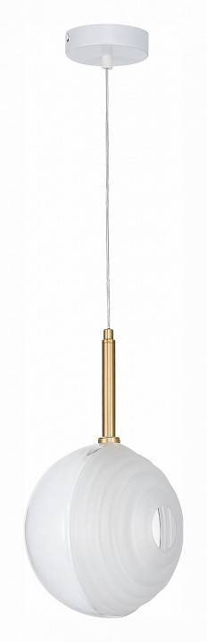 Подвесной светильник ST-Luce Foligno SL1183.503.01