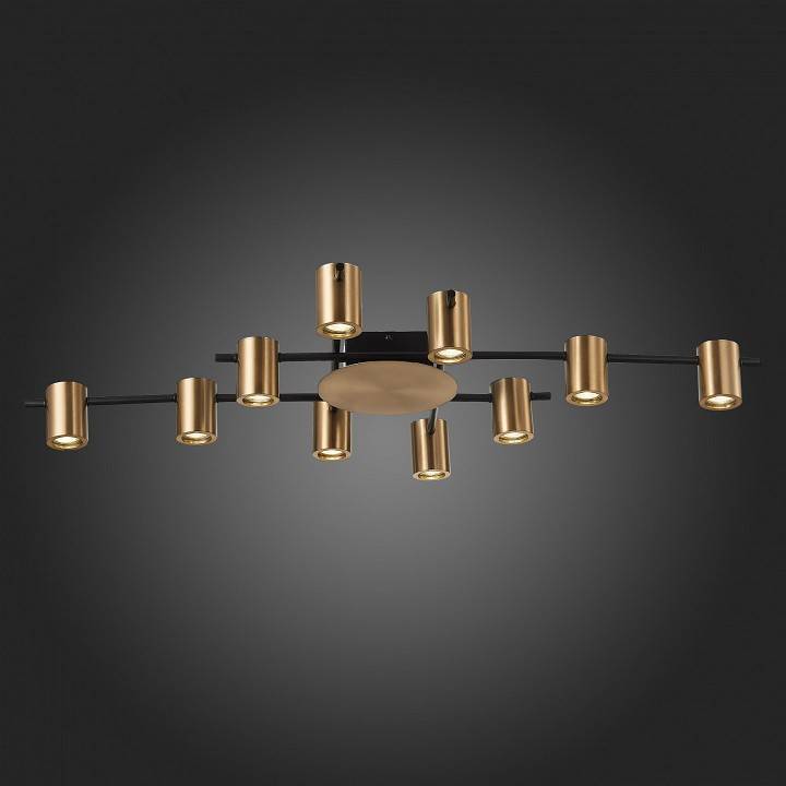 Потолочная люстра ST Luce Veroli SL1207.402.10