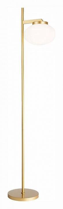 Торшер ST-Luce Modica SL1503.205.01