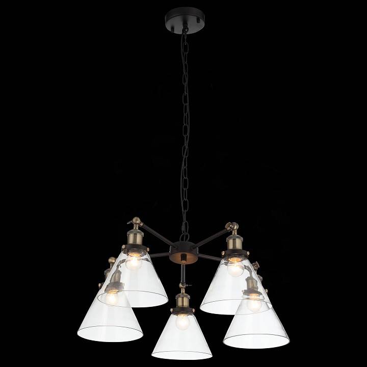 Подвесная люстра ST Luce Evoluto 5 ламп SL237.413.05