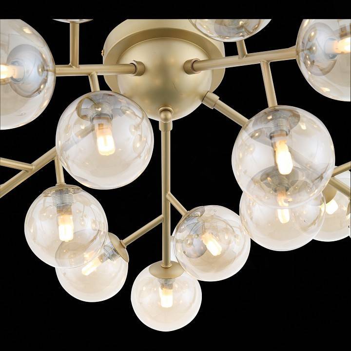 Потолочная люстра ST Luce Pallere SL438.202.20