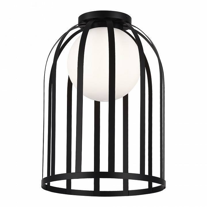Накладной светильник ST-Luce Nordic SL6129.402.01
