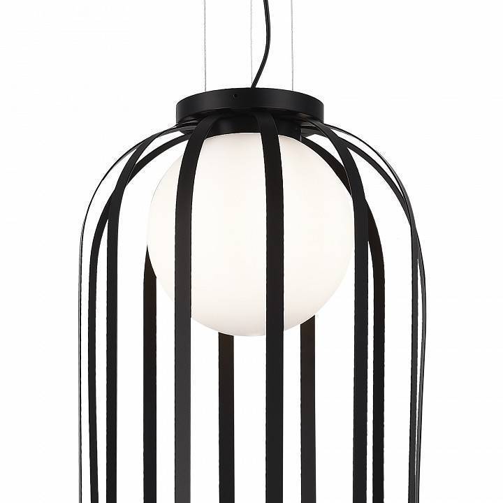 Подвесной светильник ST-Luce Nordic SL6129.403.01
