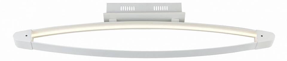 Накладной светильник ST-Luce SL920 SL920.102.01