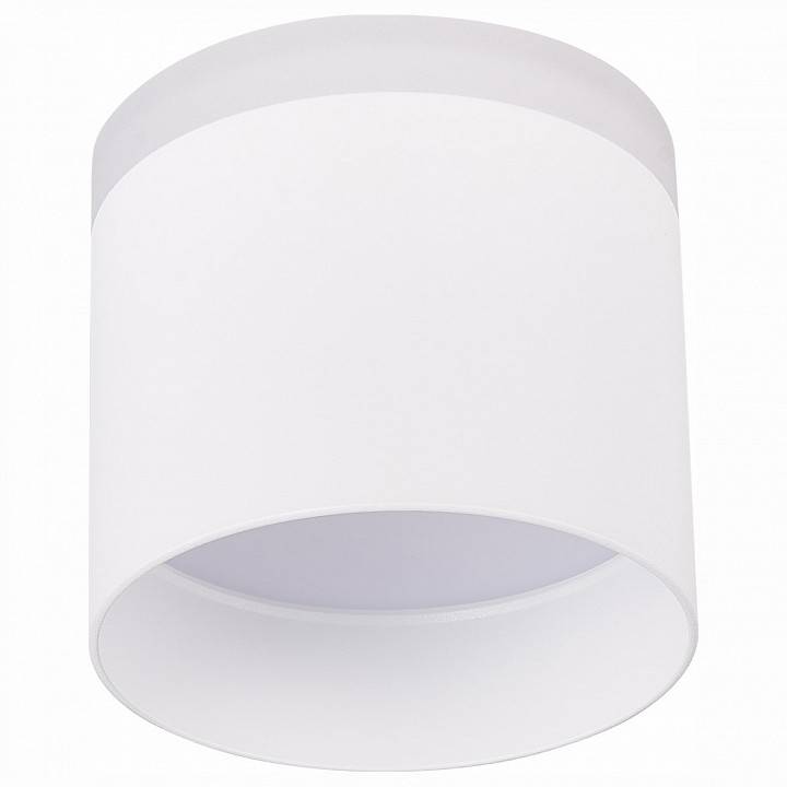 Накладной светильник ST-Luce Panaggio ST102.542.12