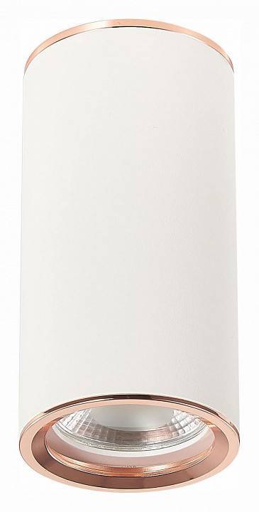 Накладной светильник ST-Luce Chomus ST111.527.01