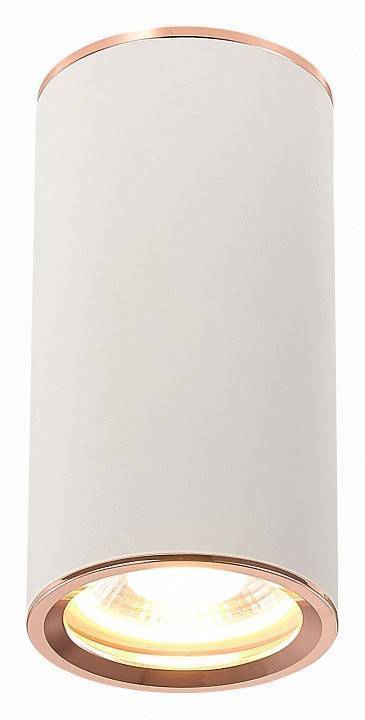 Накладной светильник ST-Luce Chomus ST111.527.01