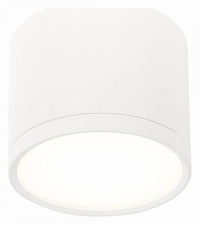 Накладной светильник ST-Luce Rene ST113.542.09