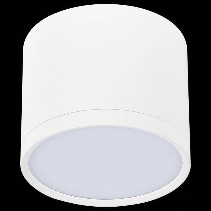 Накладной светильник ST-Luce Rene ST113.542.09