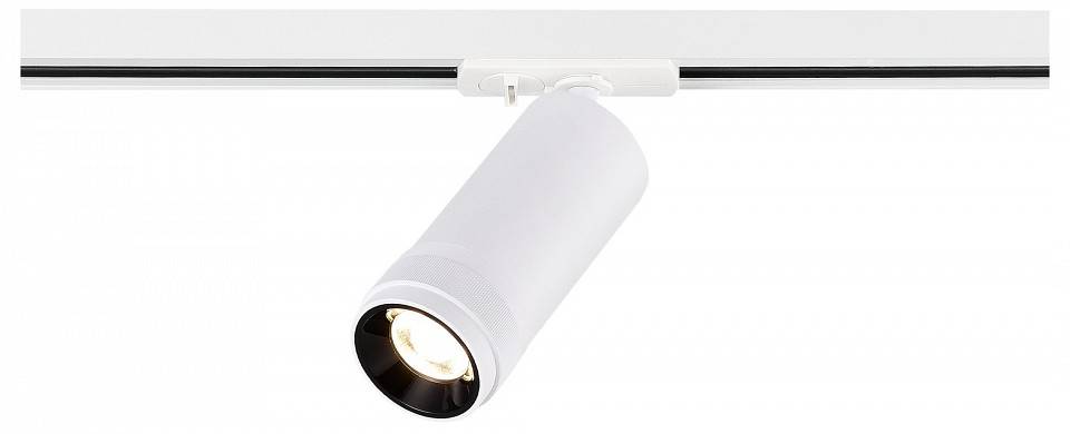 Светильник на штанге ST-Luce Base ST385.546.20