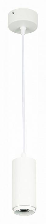 Подвесной светильник ST-Luce Zoom ST600.533.10