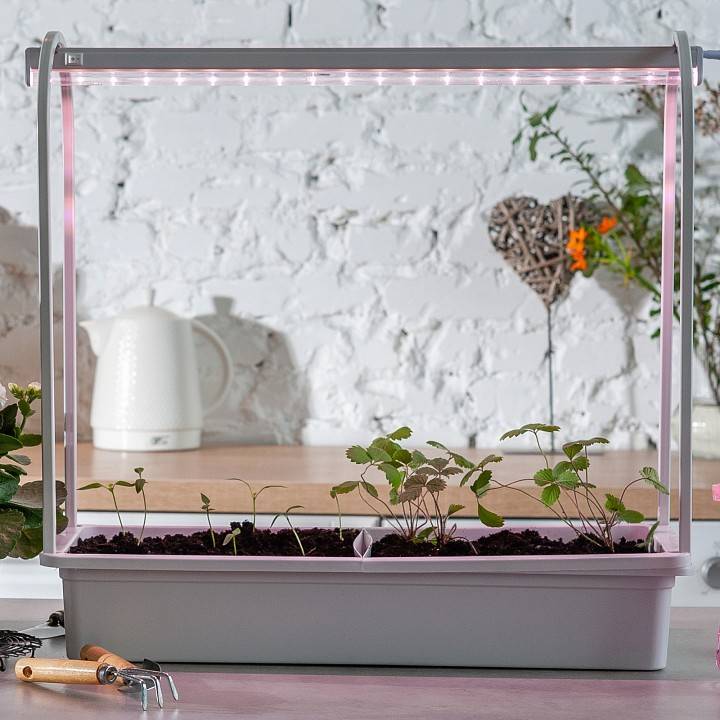 Подставка для цветов Uniel MINIGARDEN UL-00007145