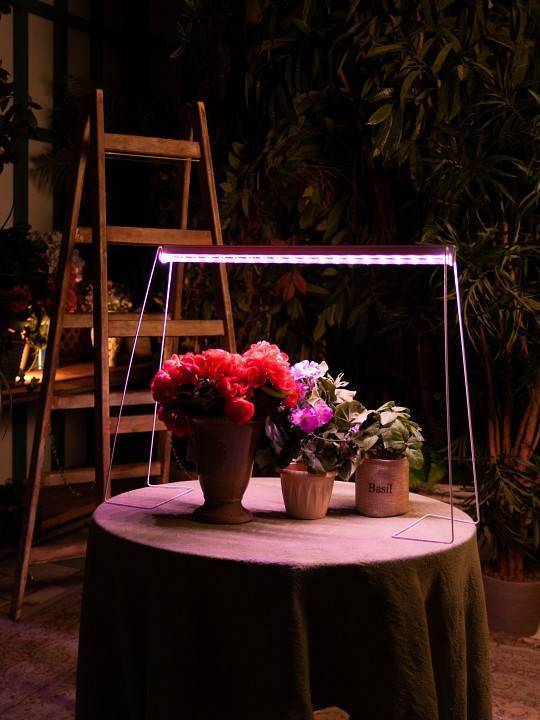 Светильник для растений Uniel ULI-P13 UL-00007514