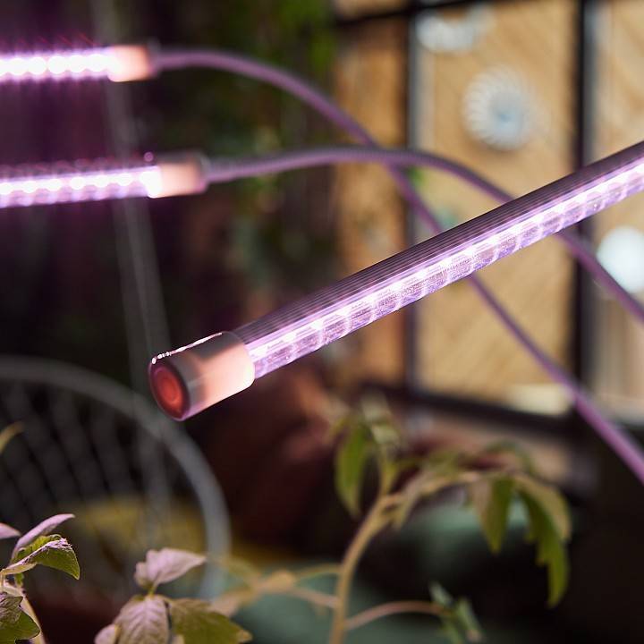 Светильник для растений Uniel ULT-P33 10 Вт 500 мм UL-00008904