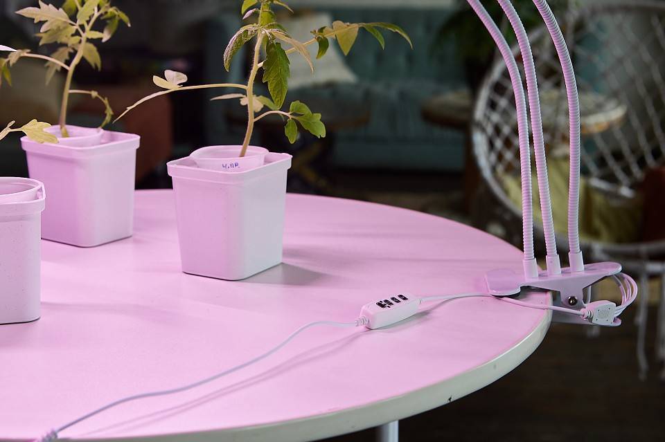 Светильник для растений Uniel ULT-P33 10 Вт 500 мм UL-00008904