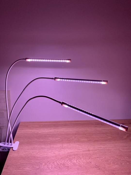 Светильник для растений Uniel ULT-P33 10 Вт 500 мм UL-00008904