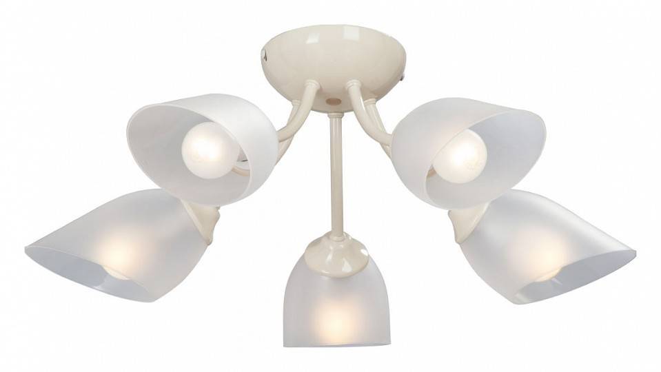 Потолочная люстра Vitaluce 5 ламп E27 V3405/5PL