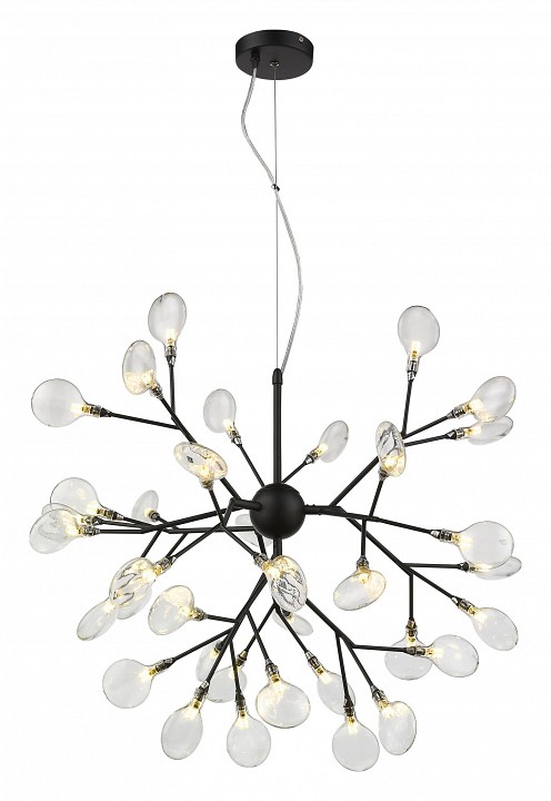 Подвесная люстра Wertmark Fiorita WE241.36.023