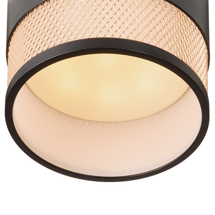 Накладной светильник Wolta Rete WSL-GX53/12BG