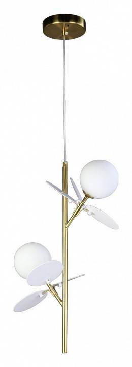 Подвесной светильник Zortes Floret ZRS.01201.02