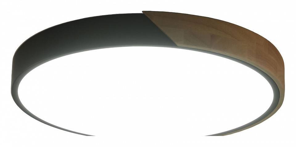 Накладной светильник Zortes ALBERRO ZRS.01287.48