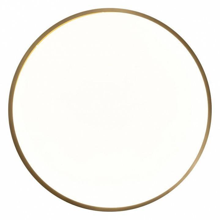 Светильник накладной Zortes Monna ZRS.1209.11