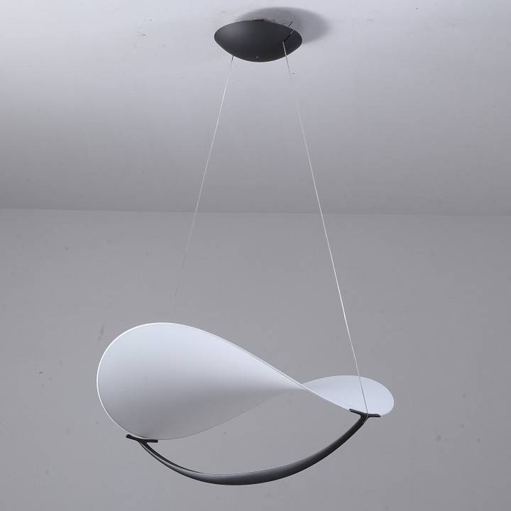 Светильник подвесной Zortes Quincy ZRS.1585.13