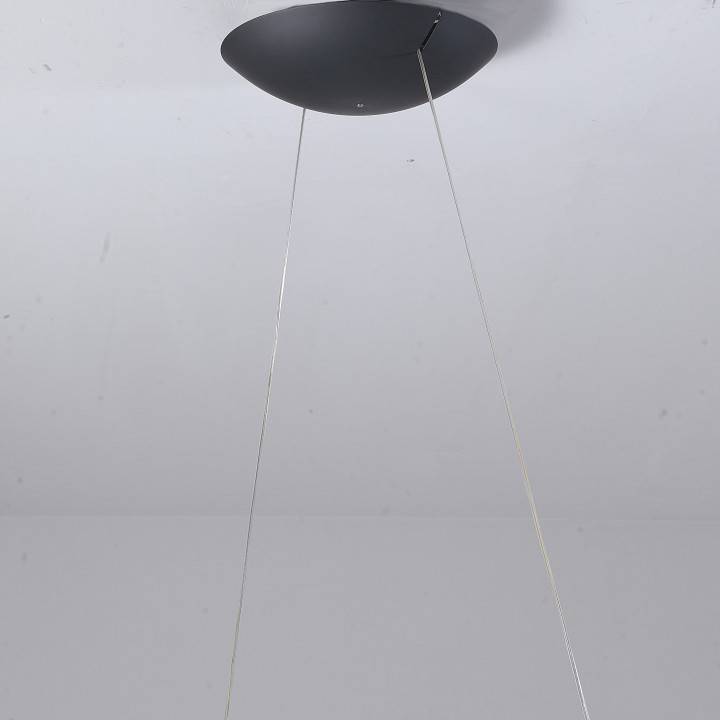 Светильник подвесной Zortes Quincy ZRS.1585.13