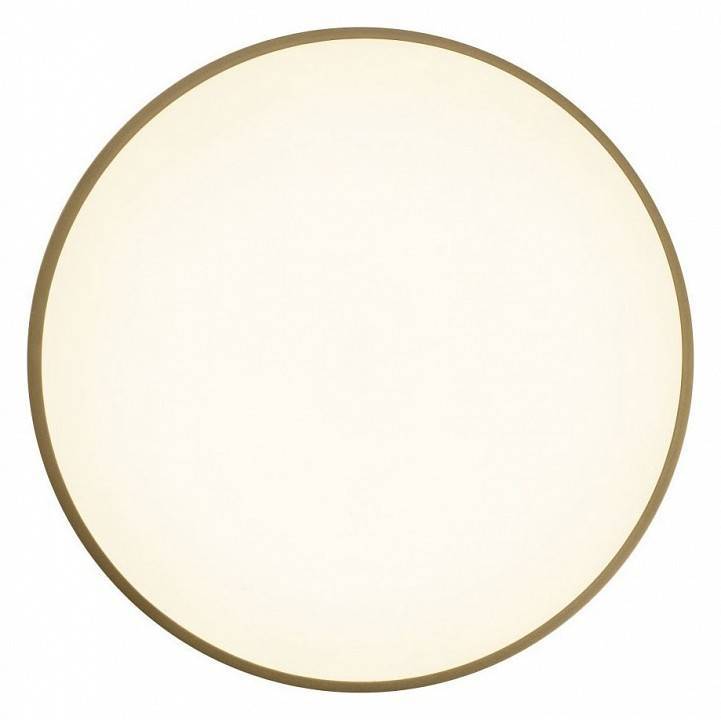 Накладной светильник Zortes Gabby ZRS.90610.40