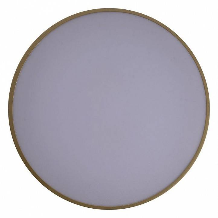 Накладной светильник Zortes Gabby ZRS.90610.40