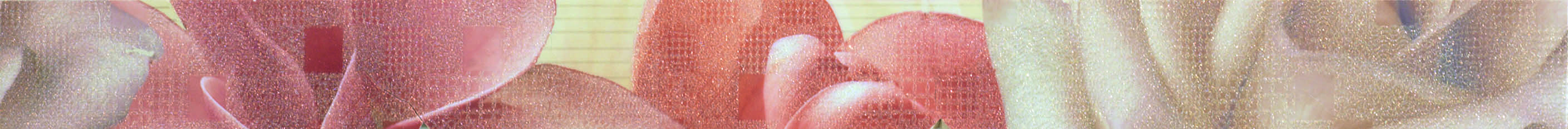 Бордюр Fanal Sensations Crema Flor Liston 50х600 мм БП000003299