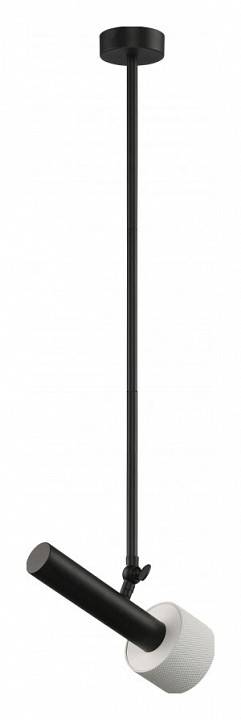 Светильник на штанге iLedex Technical Delta 2361-1 BK+WH