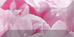 Бордюр рельефный Ceramica Classic Peony 20х10 см br1020D281-2