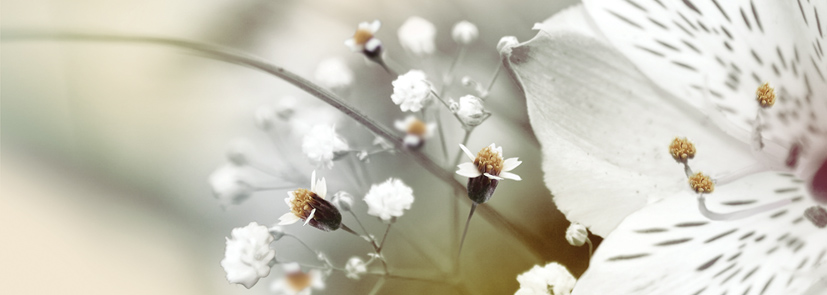 Декор Keros Calido Dance B 25х70 см х9999028461