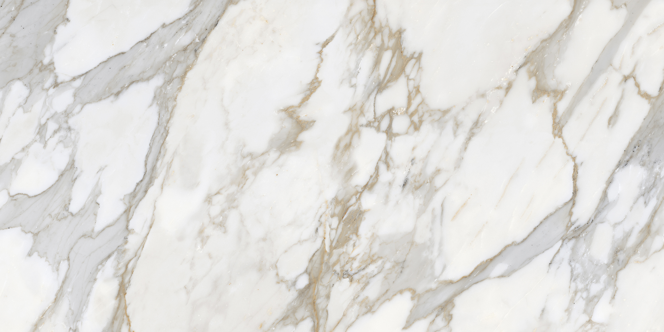 Керамогранит Laparet Calacatta Roma 60х120 см полированный х9999282558