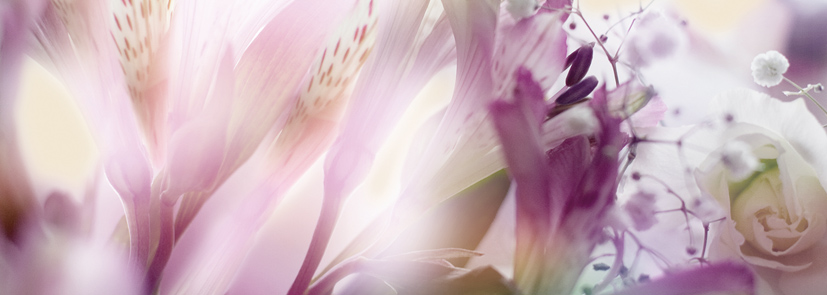 Декор Keros Calido Dance D 25х70 см х9999028463