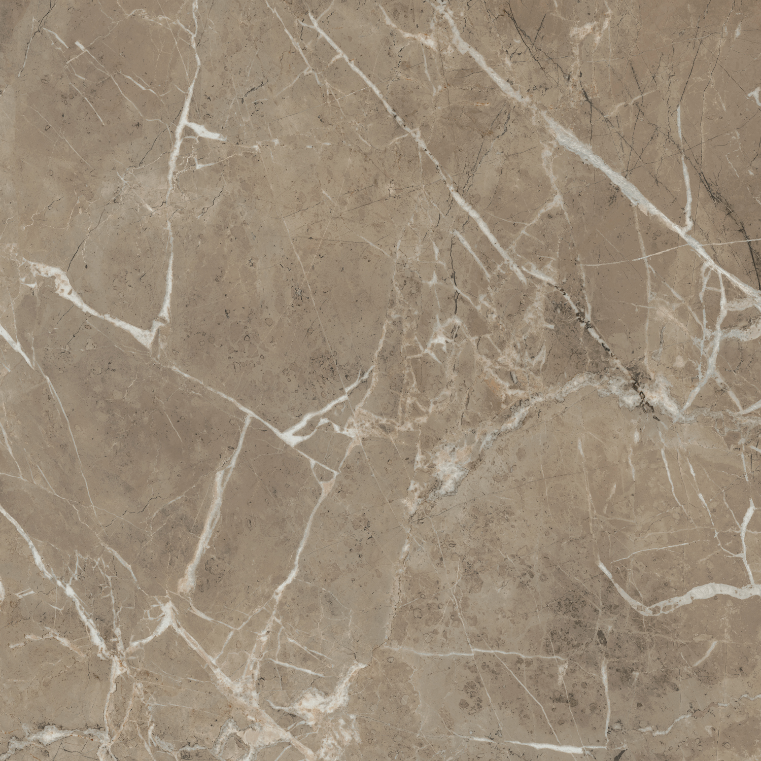 Керамогранит Kerama Marazzi Серенада бежевый темный лаппатированный обрезной 60x60 см SG654122R