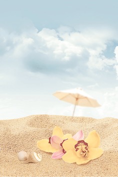 Декор Дельта Керамика Cocktail D3 20х30 см D3D140