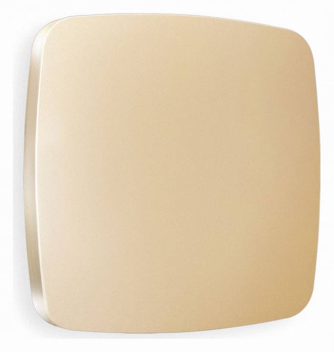 Заглушка для поста с рамкой Ambrella Volt Quant OP6160