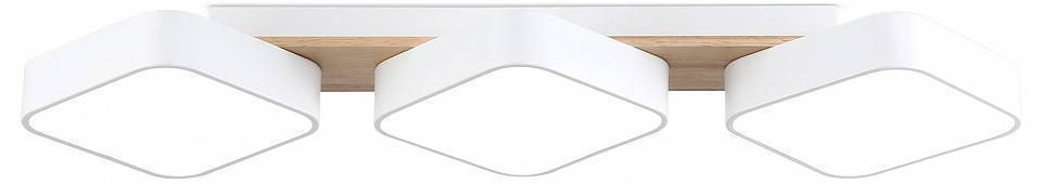 Накладной светильник Ambrella Light FL FL4877