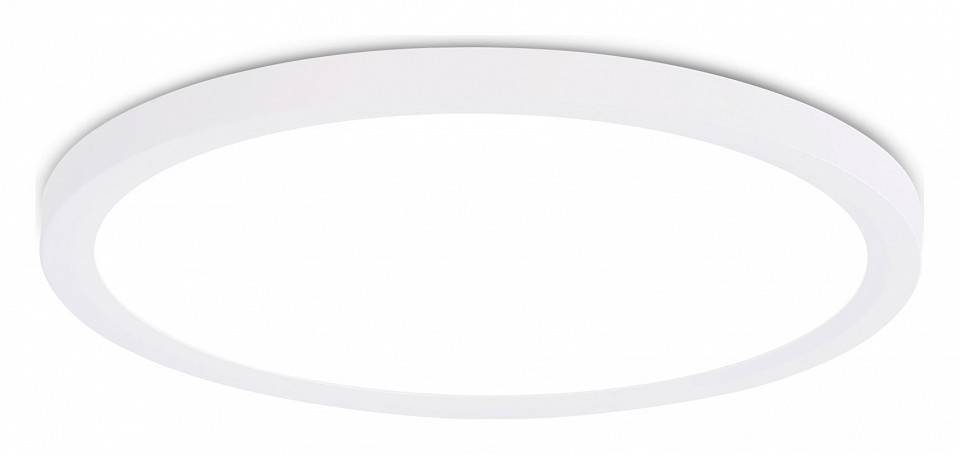 Потолочный светильник Ambrella Light FZ FZ1909 LED 44 Вт 3000-6500 К FZ1909