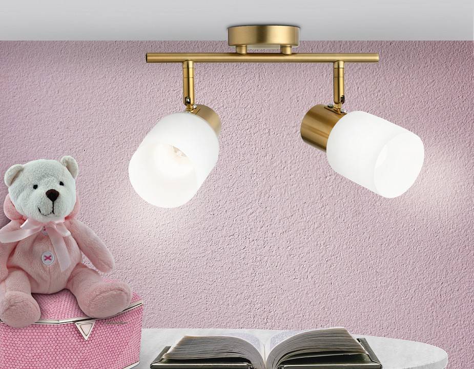 Спот Ambrella Light TR TR3969