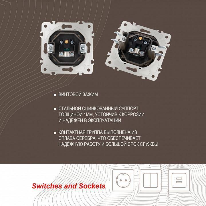 ТВ-розетка без рамки Arte Milano am-203 203.43-1.shampan