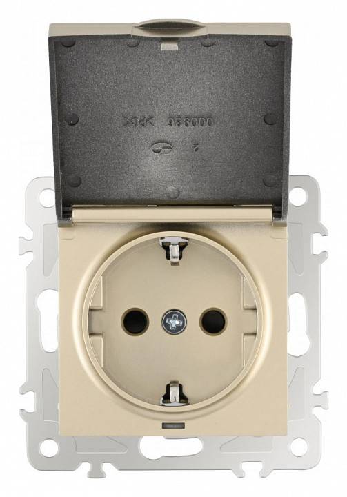 Розетка влагозащищенная с заземлением и со шторкой с крышкой Arte Milano am-206 206.41-1.shampan